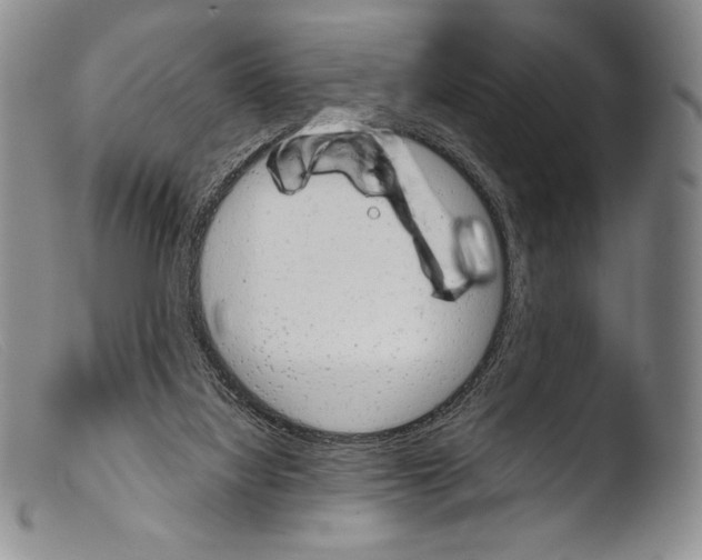 X0000103960068200810311624
