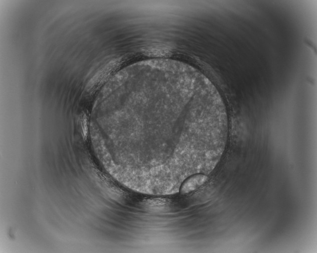 X0000103960069200810311624