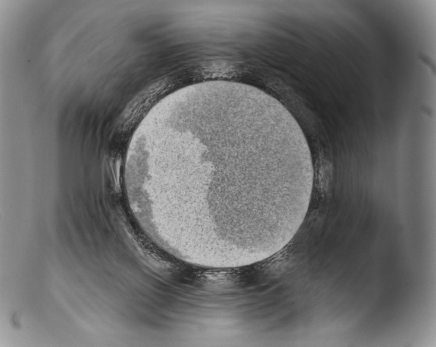 X0000103960070200810311624
