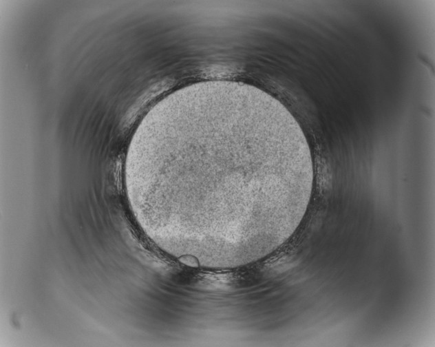 X0000103960071200810311624
