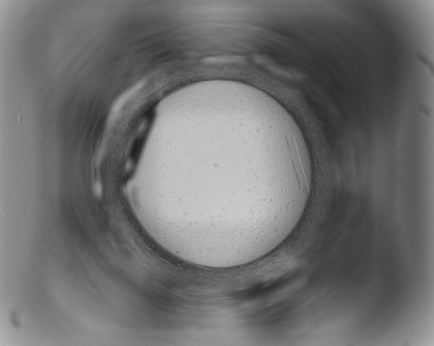 X0000103960072200810311624