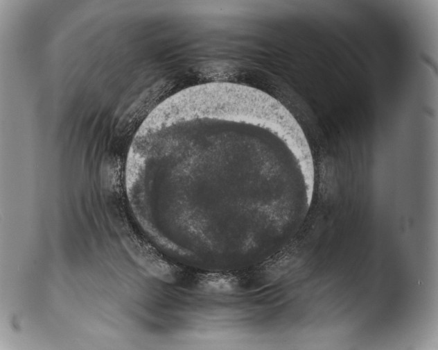 X0000103960073200810311624