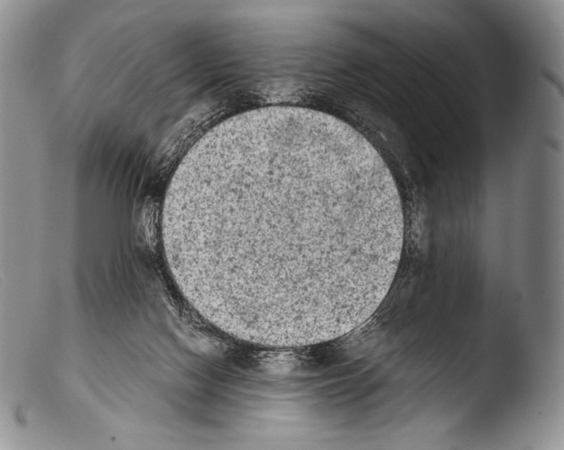 X0000103960074200810311624