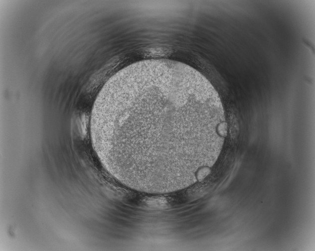 X0000103960075200810311624