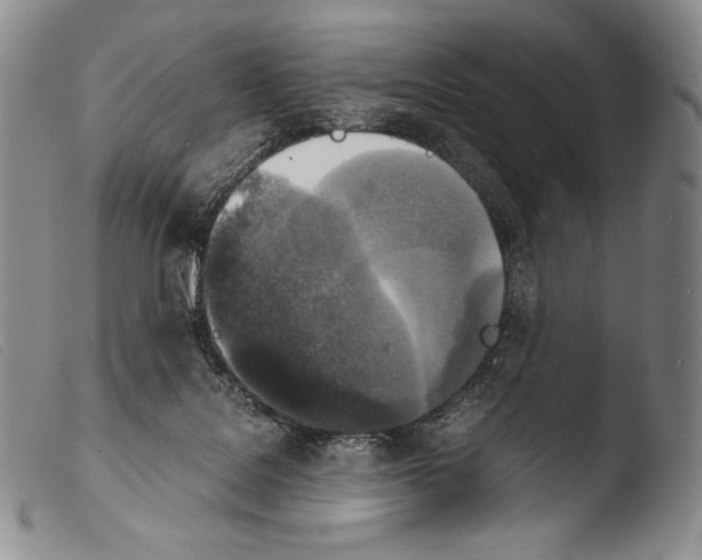 X0000103960076200810311624