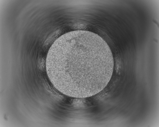 X0000103960077200810311624