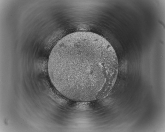 X0000103960078200810311624