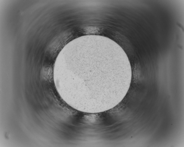 X0000103960079200810311624