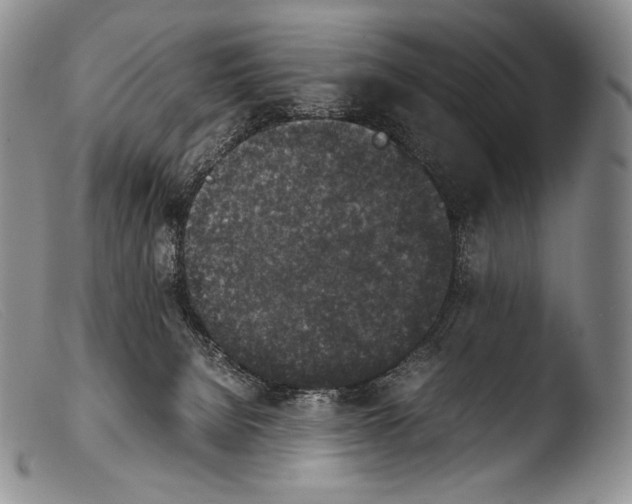 X0000103960080200810311624