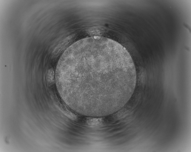 X0000103960081200810311624