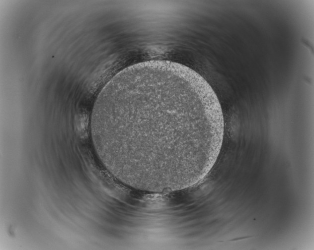 X0000103960082200810311624