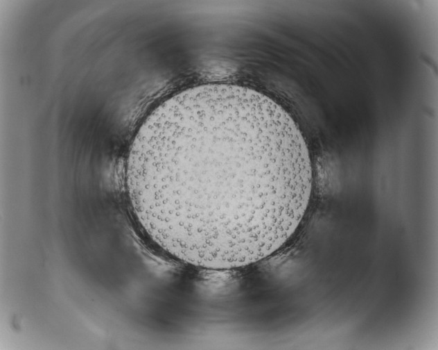 X0000103960083200810311624