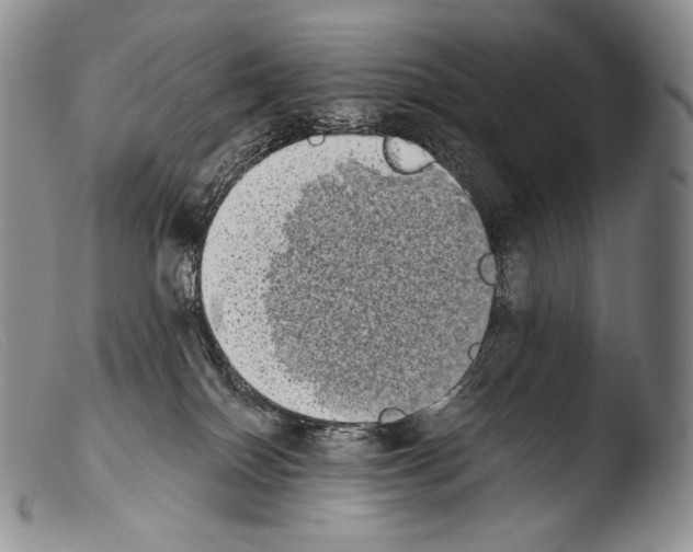 X0000103960086200810311624