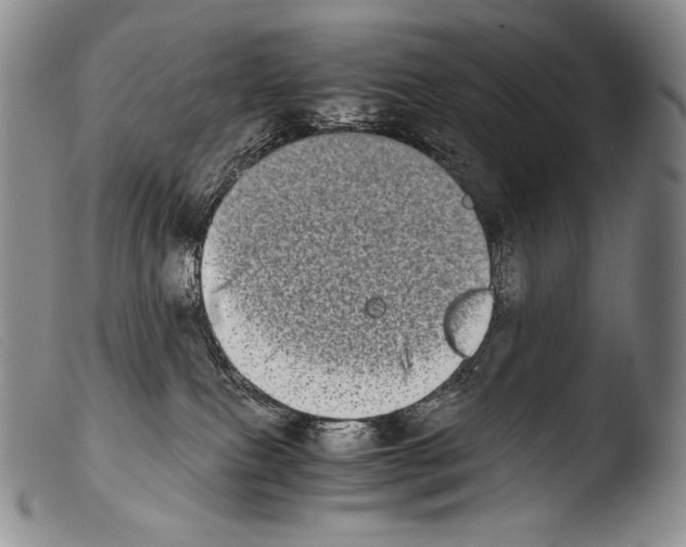 X0000103960087200810311624