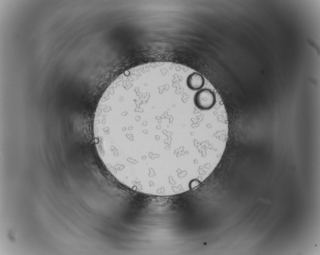 X0000103960088200810311624