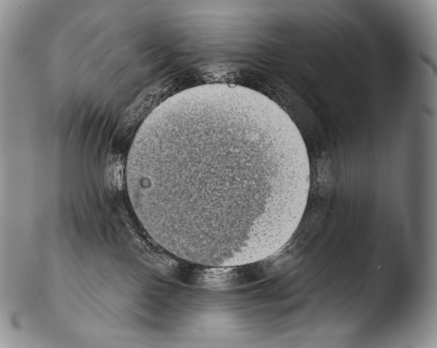 X0000103960090200810311624