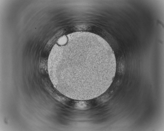 X0000103960091200810311624
