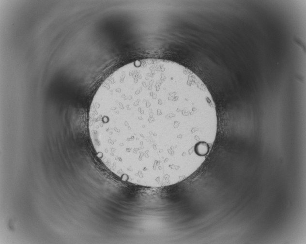 X0000103960092200810311624