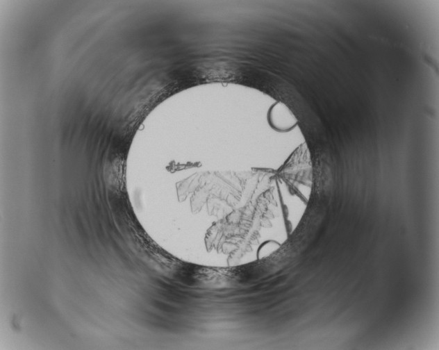 X0000103960093200810311624