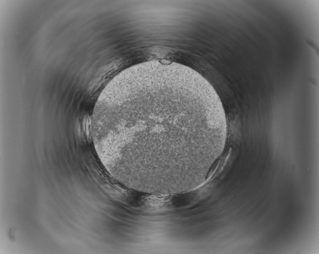 X0000103960094200810311624