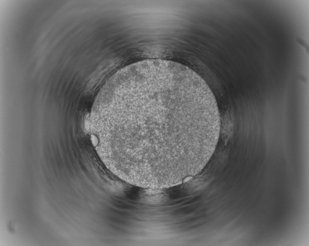 X0000103960095200810311624