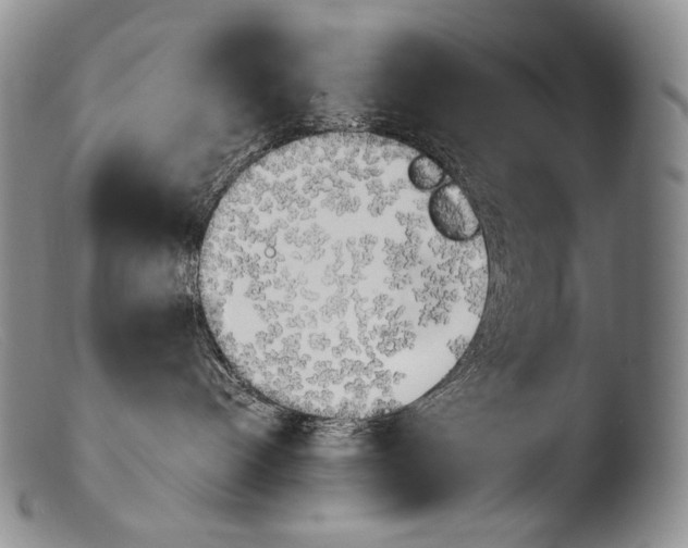 X0000103960096200810311624