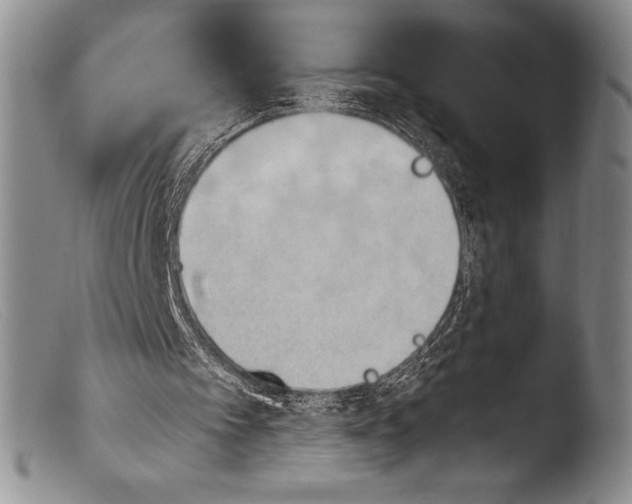 X0000103960097200810311623