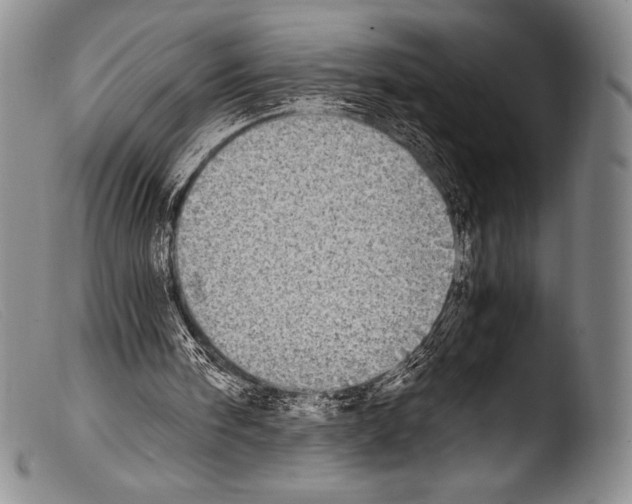 X0000103960098200810311623