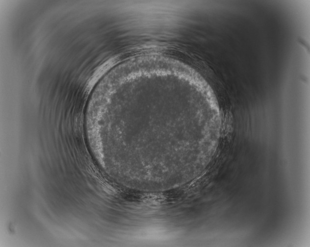 X0000103960099200810311623