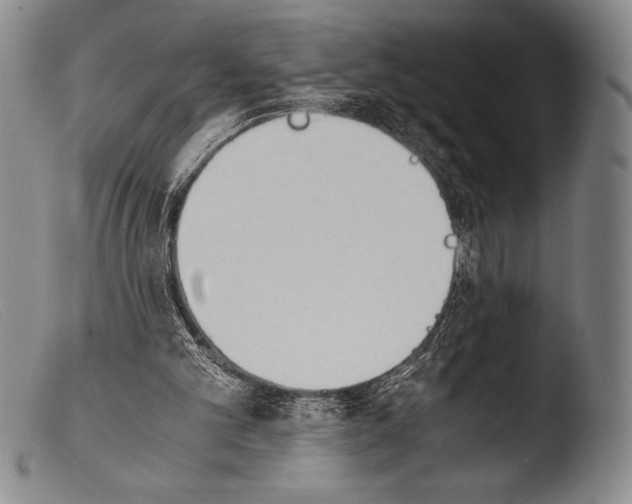 X0000103960101200810311623