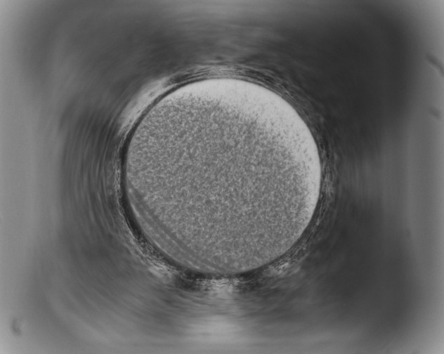 X0000103960103200810311623