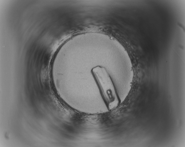 X0000103960104200810311623