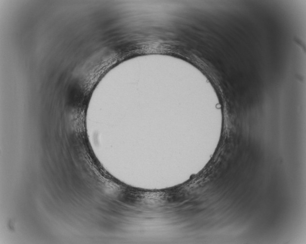 X0000103960105200810311623