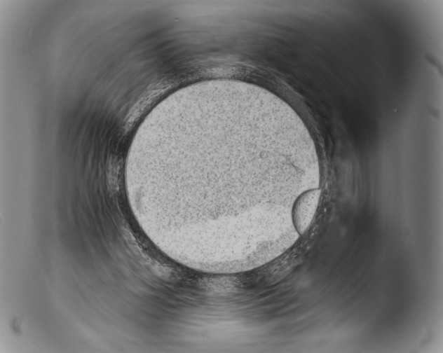 X0000103960106200810311623
