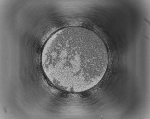 X0000103960107200810311623