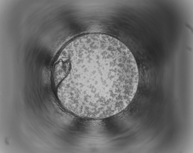 X0000103960108200810311623
