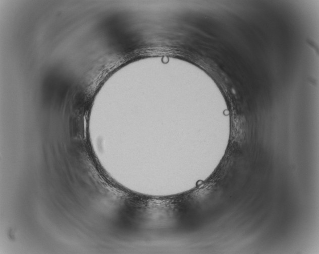 X0000103960109200810311623