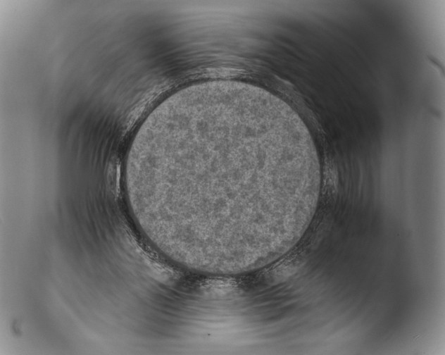 X0000103960110200810311623
