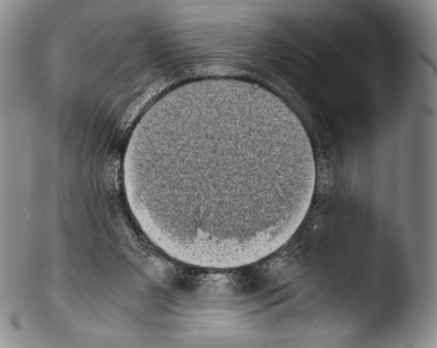 X0000103960111200810311623