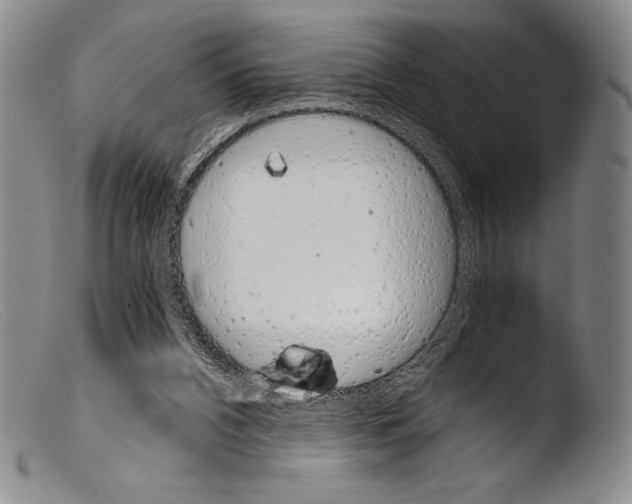 X0000103960112200810311623