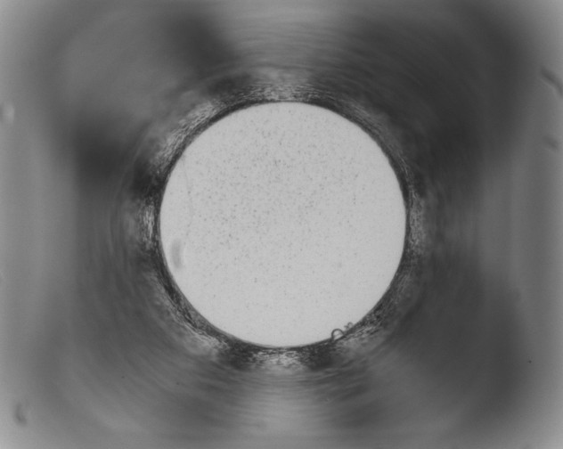X0000103960113200810311623