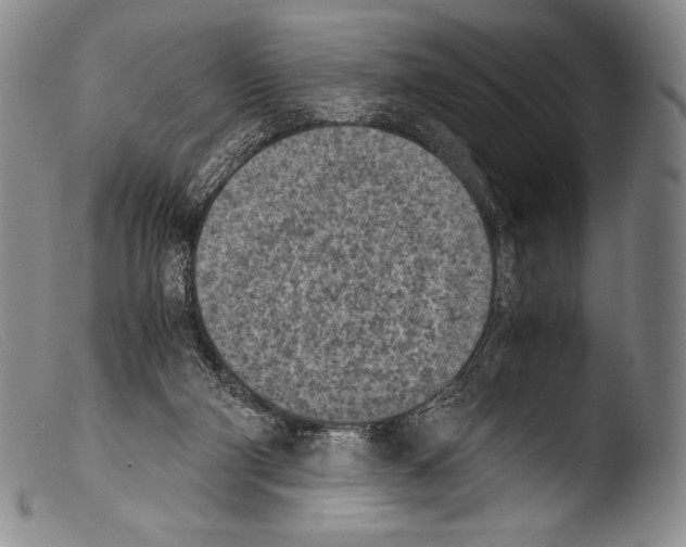 X0000103960114200810311623