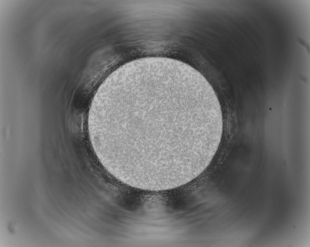 X0000103960115200810311623