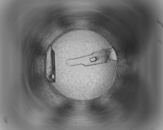 X0000103960116200810311623