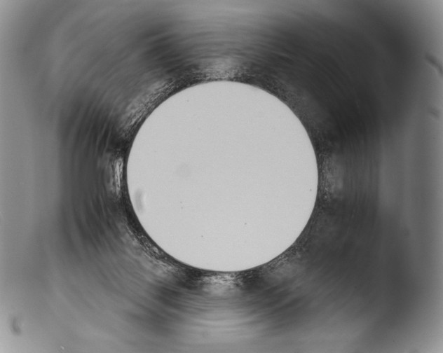 X0000103960118200810311623