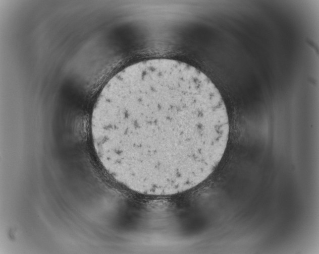 X0000103960119200810311623