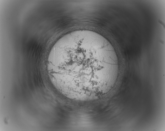 X0000103960120200810311623