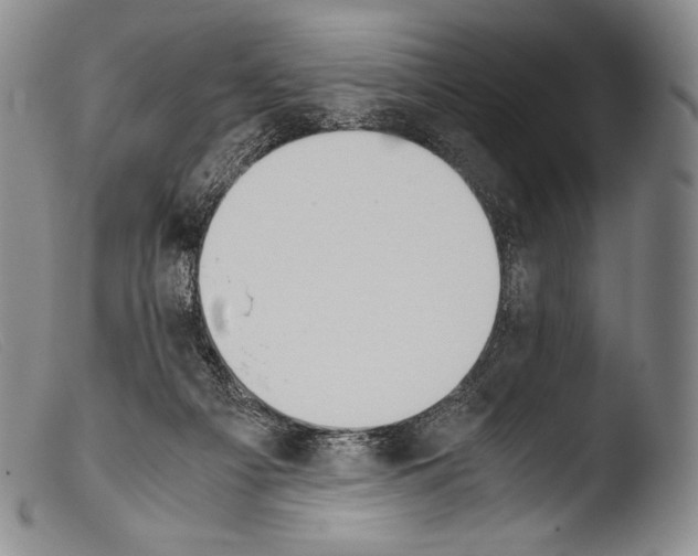 X0000103960121200810311623