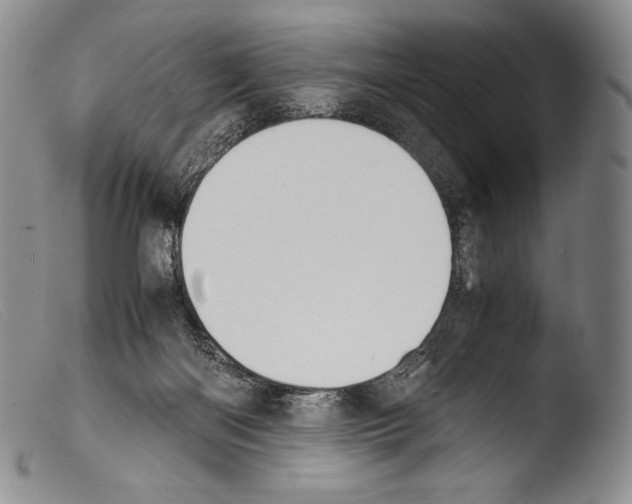 X0000103960122200810311623