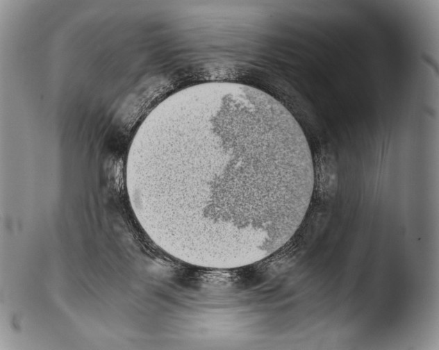 X0000103960123200810311623